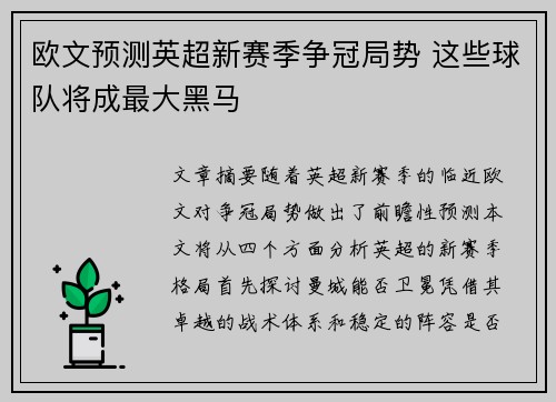 欧文预测英超新赛季争冠局势 这些球队将成最大黑马 欧文预测英超新赛季争冠局势 这些球队将成最大黑马