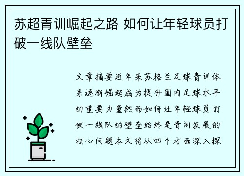 苏超青训崛起之路 如何让年轻球员打破一线队壁垒